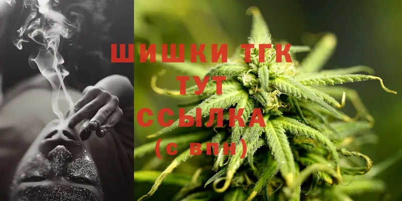 Каннабис SATIVA & INDICA  блэк спрут как зайти  Ревда  цена наркотик 